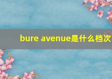 bure avenue是什么档次